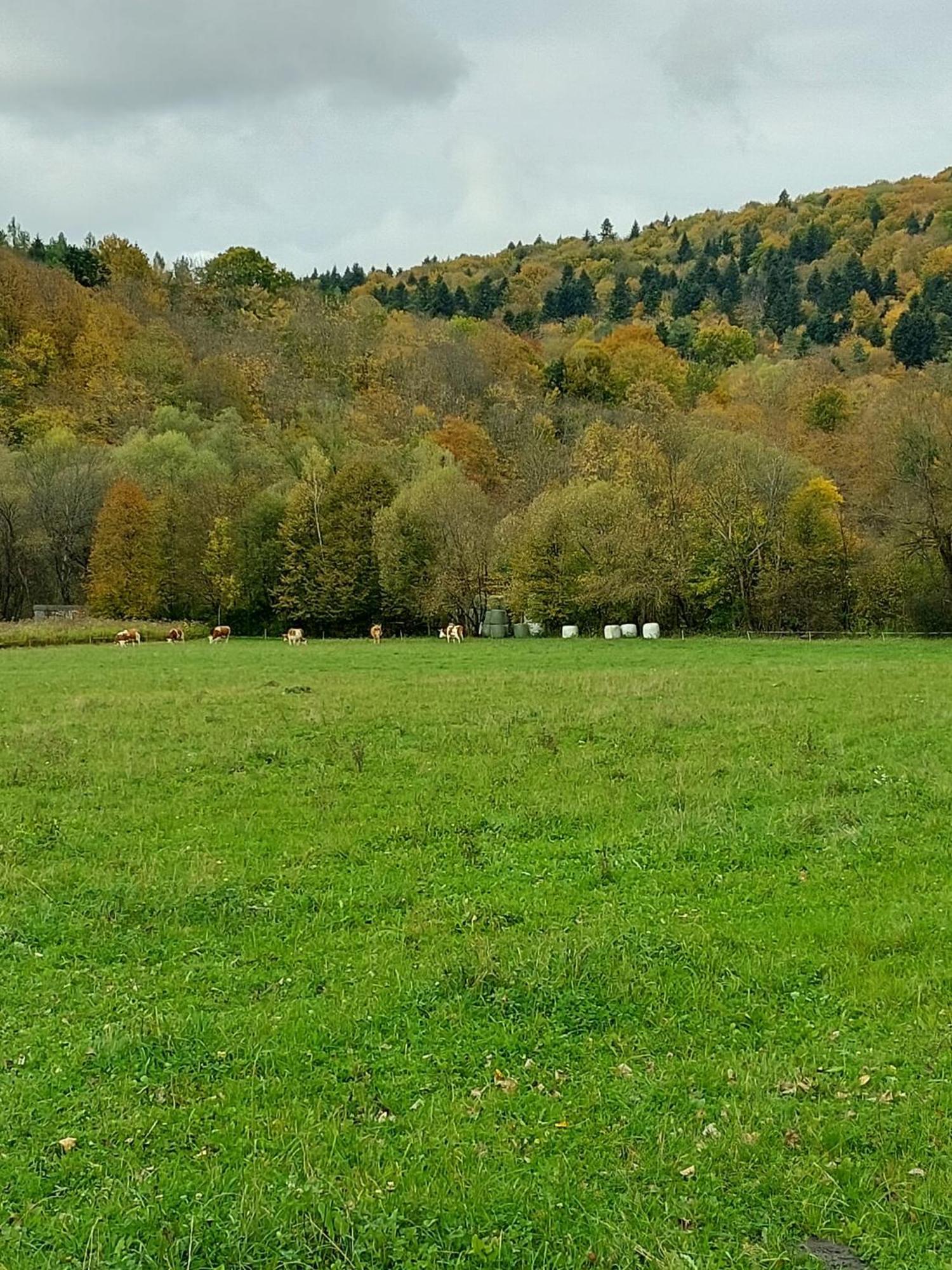 Pod Wyciagiem